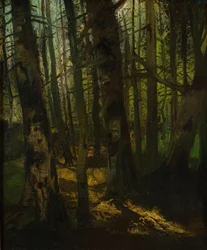 Metsänraivaus