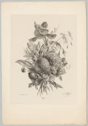 Neilikat ja liljat Flower and Fruit Studies (...) 10. jakso (sarjan nimi)
