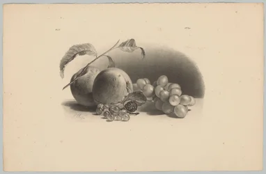 Omenat, marjat, karhunvatukat ja viinirypäleet Flower and Fruit Studies (...) 3. jakso (sarjan nimi)