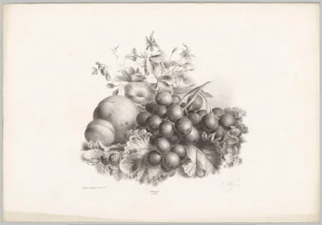 Kukat, persikka, nektariini, viinirypäleet ja karhunvatukat Flower and Fruit Studies (...) 10. jakso (sarjan nimi)