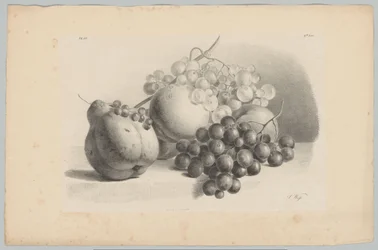 Kurpitsa, marjat, viinirypäleet ja persikat Flower and Fruit Studies (...) 3. jakso (sarjan nimi)