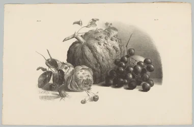 Kurpitsa, viinirypäleet, ruusu ja mansikat Flower and Fruit Studies (...) 3. jakso (sarjan nimi)