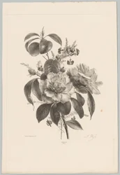 Ruusuja ja muita kukkia Flower and Fruit Studies (...) 10. jakso (sarjan nimi)
