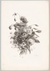 Ruusuja ja muita kukkia Flower and Fruit Studies (...) 10. jakso (sarjan nimi)