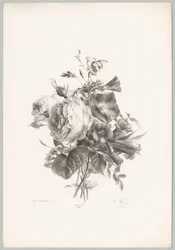 Ruusuja ja maljan muotoisia kukkia Flower and Fruit Studies (...) 10. jakso (sarjan nimi)