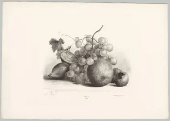 Viikunoita, rypäleitä ja appelsiinia Flower and Fruit Studies (...) 10. jakso (sarjan nimi)