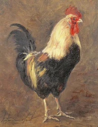 Kukko, 1999