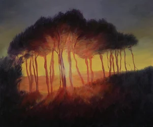 Wild Trees at Sunset, 2002