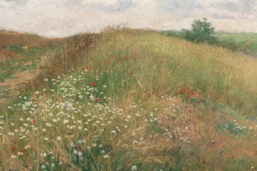 Kesä, 1897.