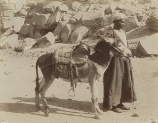 Bourier ja Bouriquer, Egypti