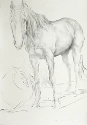 Horse at Coolmoressa, 1990 (hiili paperilla)