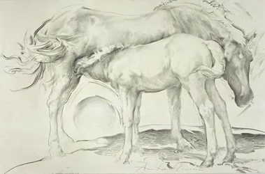 Horses at Coolmoressa, 1990 (hiili paperilla)