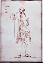 Carlo Broschin muotokuva nimeltä Farinelli (1705-1782) Italialainen castrato (castrat) Anton Maria Zanettin (1680-1767) sarjakuva. 1700-luvulla. Yksityinen kokoelma.