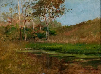 Still Water