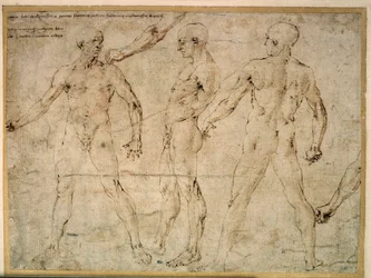 Kolme alaston miestä. Piirustus Antonio Pollaiuolo (Pollaiolo) (1432-1498)