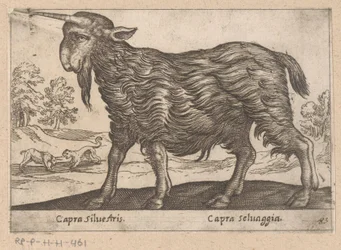 Vuohi yhdellä sarvella Capra Silvestris/ Capra Selvaggia (otsikko esineessä) Dieren en fablewezens (sarjan nimi) Uusi kokoelma maailman uteliaimpia eläimiä (sarjan nimi)