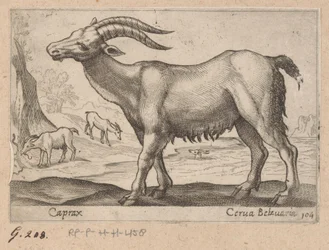 Jalokivet Caprax/ Cerua Belzuaria (otsikko esineessä) Dieren en fablewezens (sarjan nimi) Uusi kokoelma maailman uteliaimpia eläimiä (sarjan nimi)