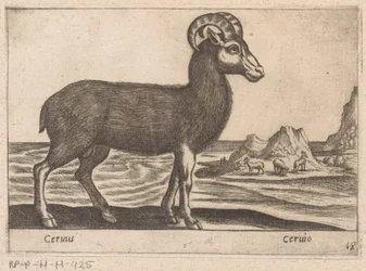 Jalokivet Cerinis / Ceruio (otsikko esineessä) Dieren en fabelwezens (sarjan nimi) Nova-kokoelma maailman uteliaimpia eläimiä (sarjan nimi)