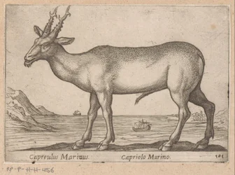 Hert Capreulus Marinus/ Capriolo Marino (otsikko esineessä) Dieren en fablewezens (sarjan nimi) Uusi kokoelma maailman uteliaimpia eläimiä (sarjan nimi)