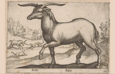 Hevonen sarvet Eale/Eale (otsikko esineessä) Eläimet ja myyttiset olennot (sarjan nimi) Nova raccolta de li animali piu curiosi del mondo (sarjan nimi)