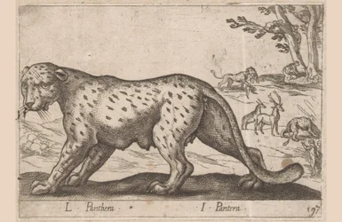 Pantteri L Panthera/ I Panthera (otsikko esineessä) Dieren en fablewezens (sarjan nimi) Uusi kokoelma maailman uteliaimpia eläimiä (sarjan nimi)