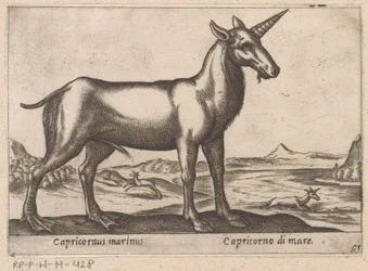 Kauris merieläinnä Capricornus marinus/ Capricorno di mare (otsikko esineessä) Eläimet ja myyttiset olennot (sarjan nimi) Nova raccolta de li animali piu curiosi del mondo (sarjan nimi)