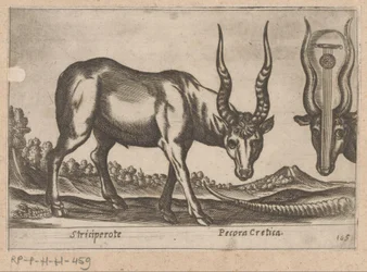 Kaksi antilooppia Striciperote/kreetalainen karja (otsikko esineessä) Dieren en fablewezens (sarjan nimi) Nova raccolta de li animali piu curiosi del mondo (sarjan nimi)