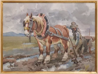 Työ pellolla