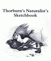 Nimilehti (Stoat ja Gamebird), pub. kirjoittanut Book Club Associates