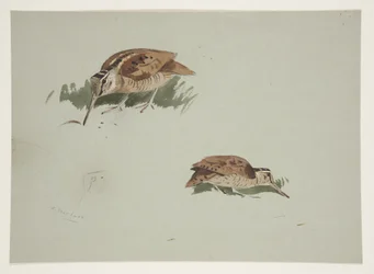 Kaksi lehtokurppa-aiheista vinjettiä, noin 1915
