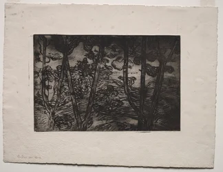 Puut yöllä, c. 1894.