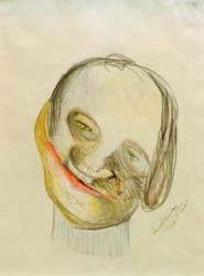 Karikatyyri 8