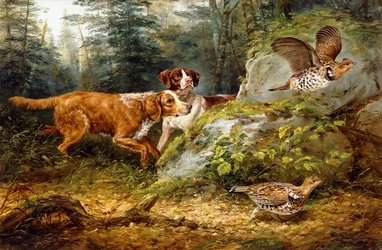 Punainen: Ruffed Grouse Shooting, 1857