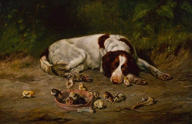 Hyvä Doggy