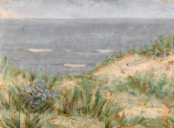 Merinäköala dyynien kanssa, kukkiva meriruoho, n. 1900
