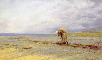 Merilevän kerääminen