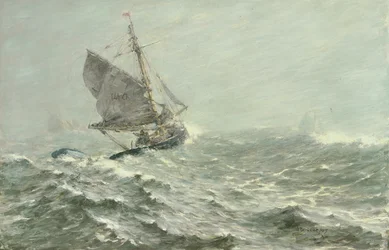 Valkoinen myrsky