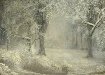 Lumi