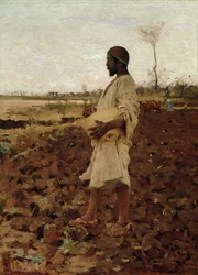Egyptiläinen kylväjä, 1881