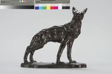 Alert Coyote (pronssi)