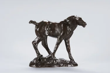 Colt (pronssi)