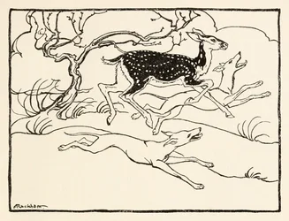 Becfola vaunuissaan elokuvasta The Wooing of Becfola in Irish Fairy TalesSee desc