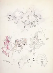Anna: hämähäkinverkko, koi, sinapinsiemen ja hernekukka. Kuvitus Shakespearen teokseen "Kesäyön unelma", n. 1908