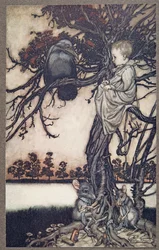 Laita hänen outo tapauksensa Old Solomon Caw:n eteen, Peter Panin Kensington Gardensista, kirjoittanut J M Barrie (1860 - 1937), pub. 1906