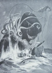 Kraken vs. spermavalaat