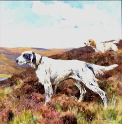 Englanninsetterit (öljy aluksella)