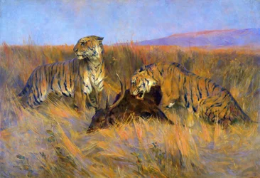 Tigers at Kill (öljy kankaalle)