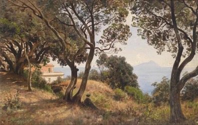 Ascan Lutteroth etelänäkymä 1889