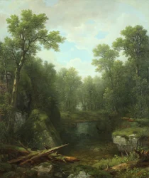 Chapel Pond Brook, Keene Flats, Adirondackvuoret, New York, 1871