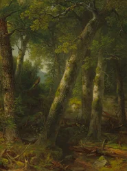 Metsä aamun valossa